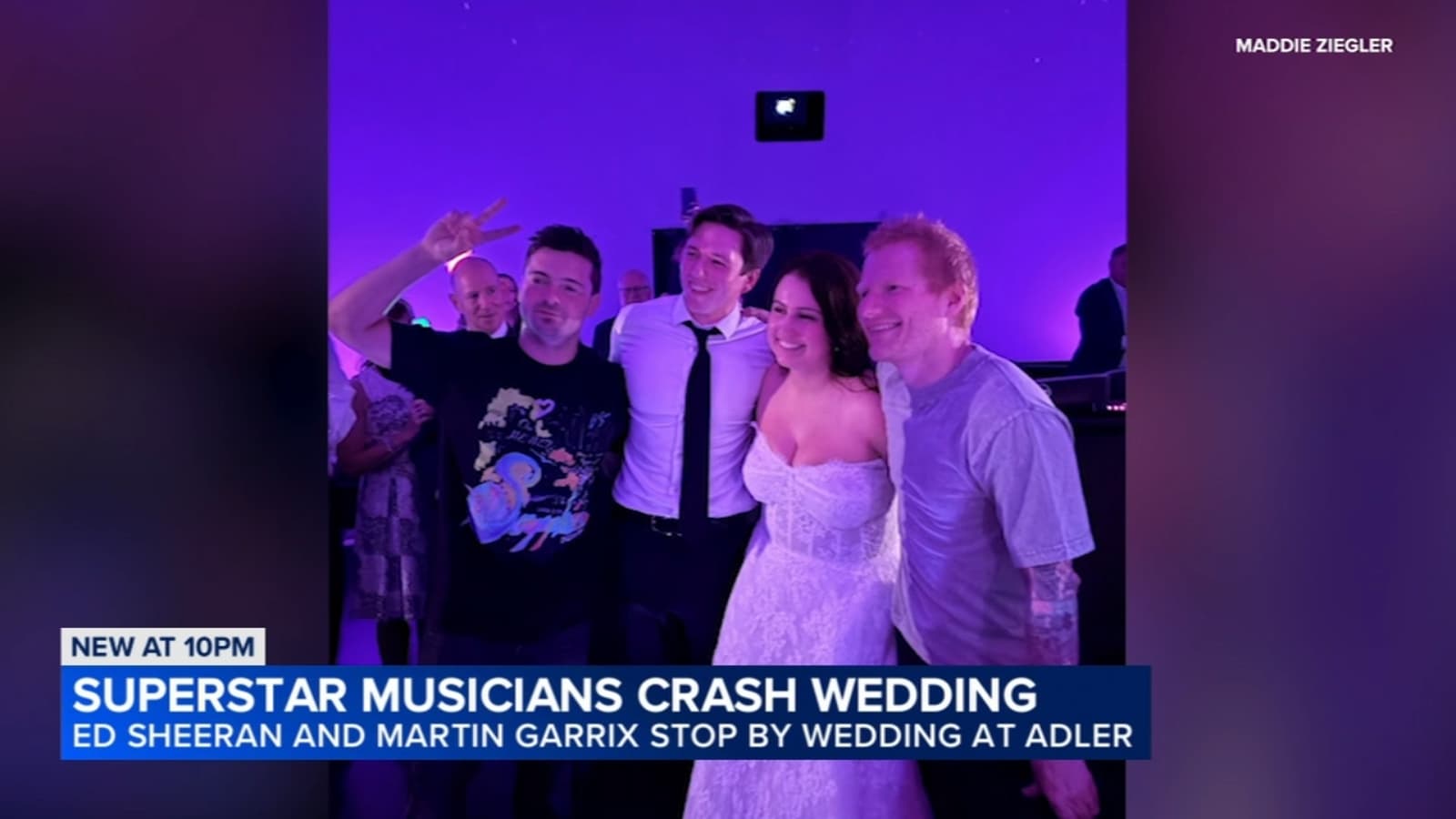 Ed Sheeran and Martin Garrix Crash Chicago Wedding at Adler Planetarium After One DM
