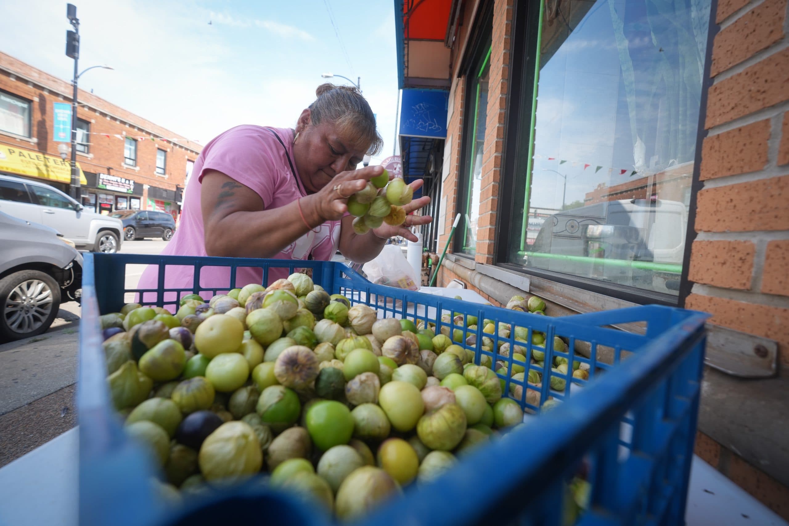 Chicago-Area Businesses Lost $1.2 Billion Since ICE's Operation Midway Blitz Began, UIC Study Finds