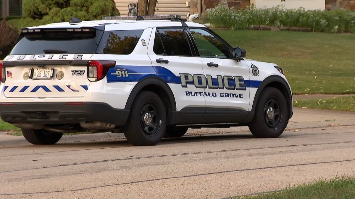 Three Found Dead Inside Buffalo Grove Home in What Police Call Possibly 'Coincidental' Deaths