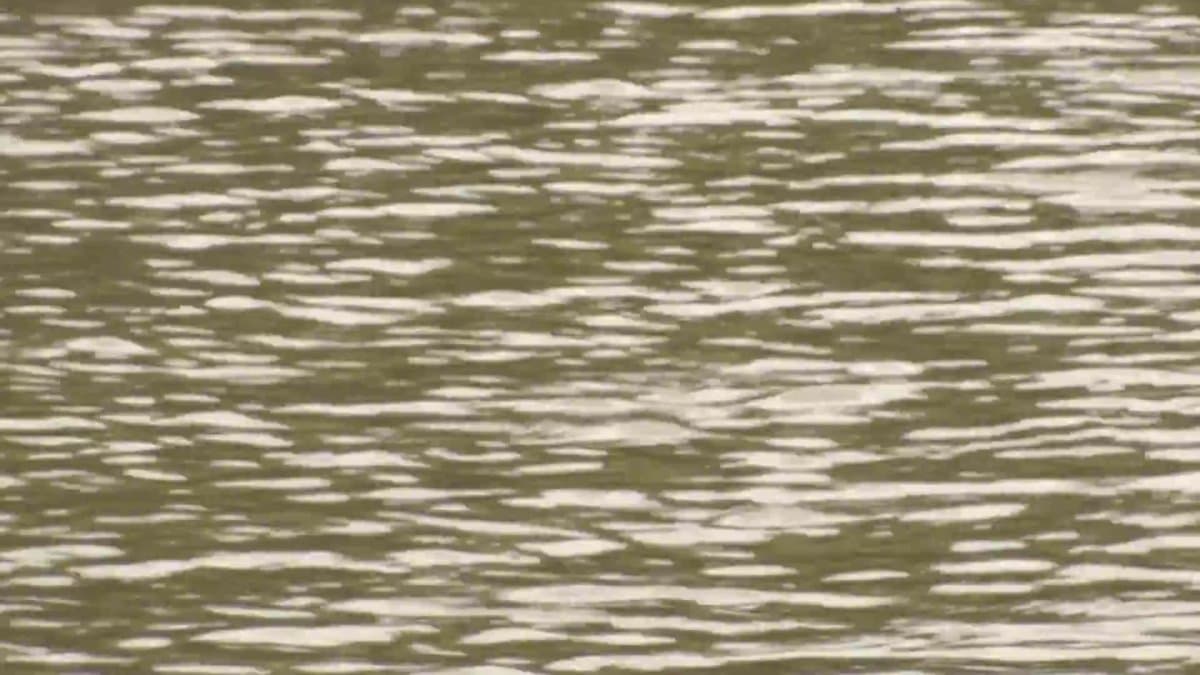 Search Suspended for Child Who Disappeared in Lake Michigan at Michigan City Beach After Divers Injured