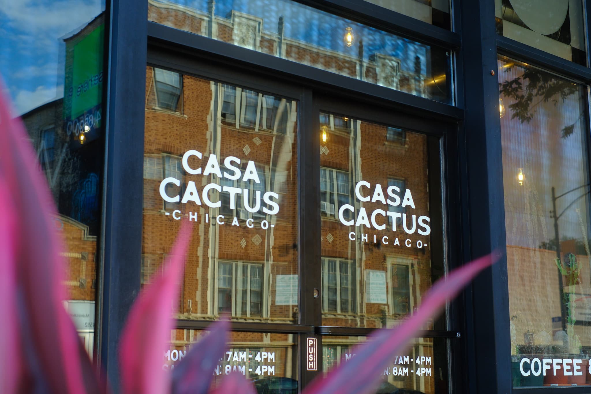Mayfair Coffee Shop Casa Cactus Closes Over Licensing Snafu, Neighbors Rally to Pay Staff