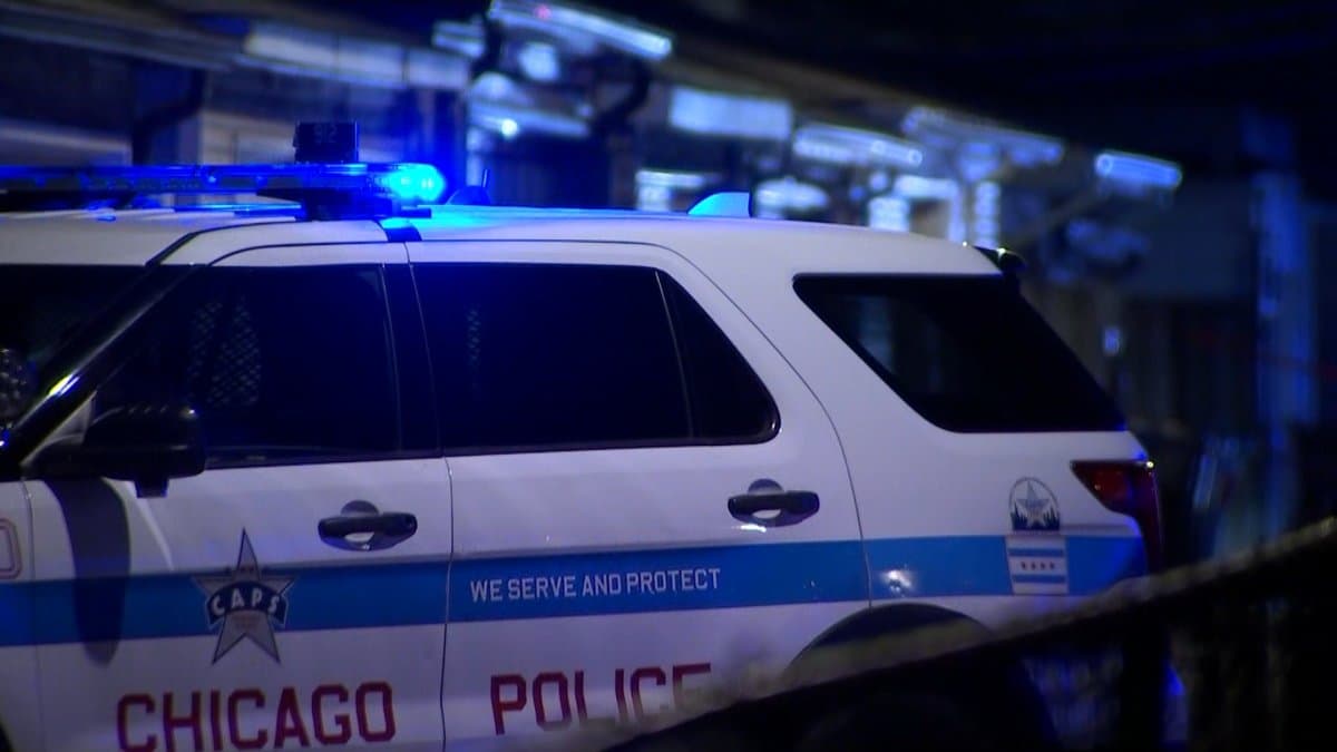 Thieves Smash Through Drywall to Burglarize Chicago Businesses, Police Issue Warning