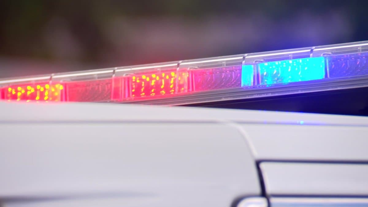 Human Remains Found at Busse Woods During Search for Missing Schaumburg Man