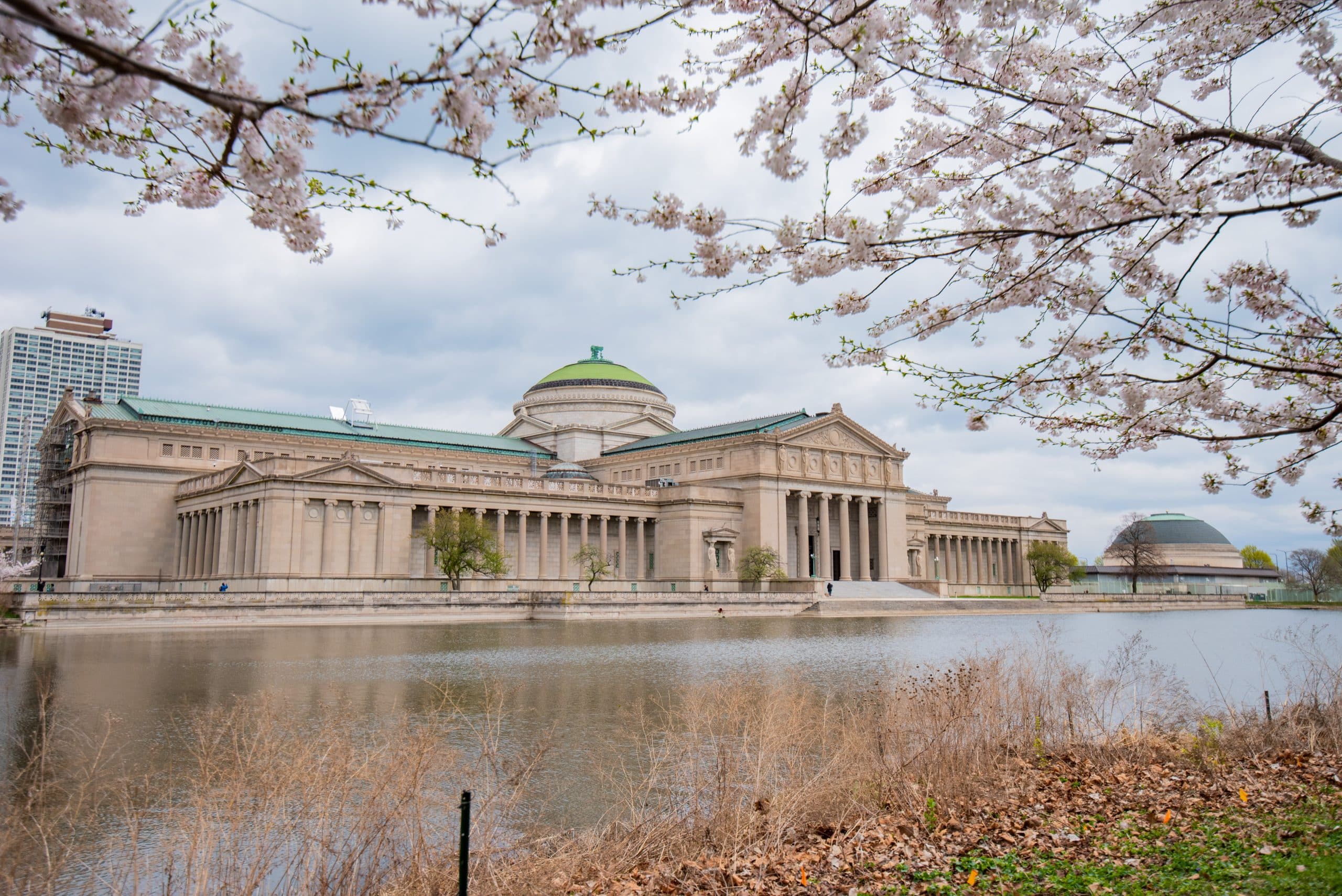 Griffin Museum of Science and Industry to Reopen Historic South Entrance for First Time in Over 100 Years